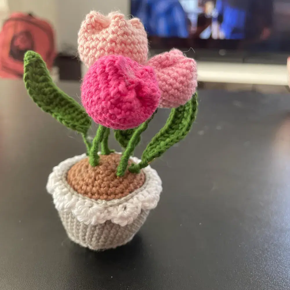 Pastel Pink Tulip Pot Crochet Pattern photo review